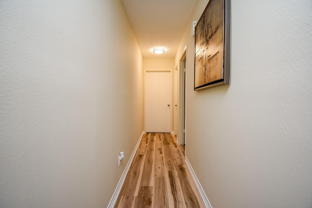 hallway featuring light hardwood / wood-style floors