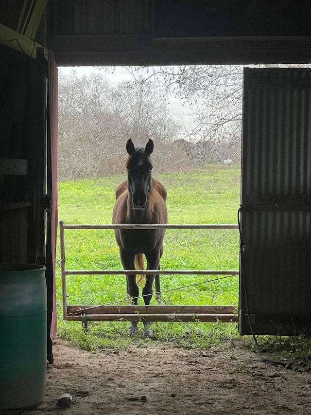 view of stable featuring a rural view