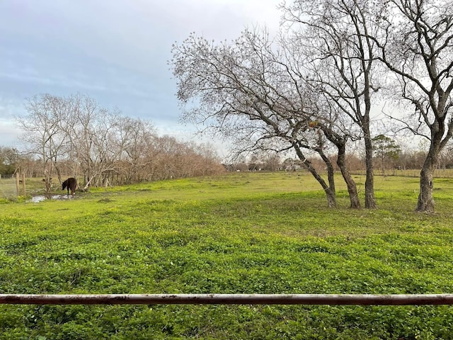 view of yard featuring a rural view