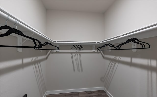 spacious closet featuring dark wood-type flooring