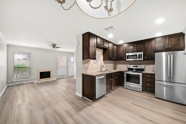 kitchen with sink, stainless steel appliances, light hardwood / wood-style floors, dark brown cabinets, and ceiling fan with notable chandelier