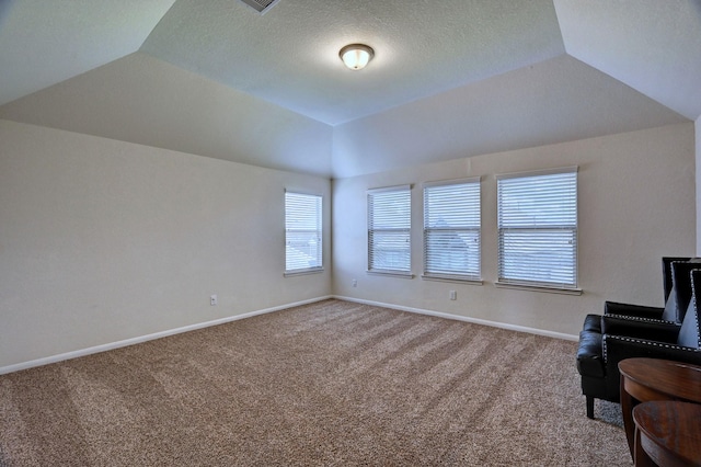 unfurnished room featuring carpet flooring, a raised ceiling, a textured ceiling, and vaulted ceiling