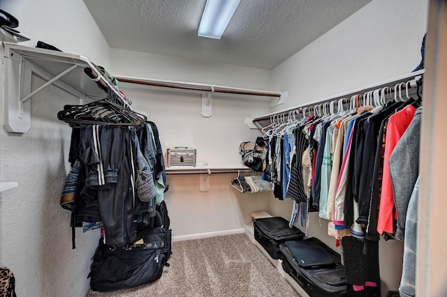 walk in closet featuring carpet floors