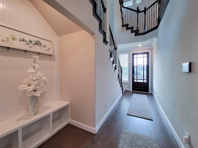 foyer featuring dark hardwood / wood-style flooring and a high ceiling