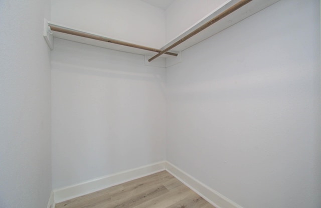 spacious closet featuring light wood-type flooring