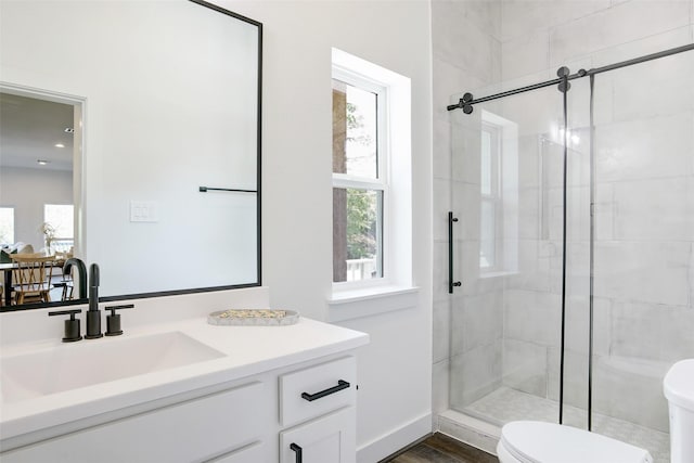 bathroom featuring vanity, toilet, a shower with door, and wood-type flooring