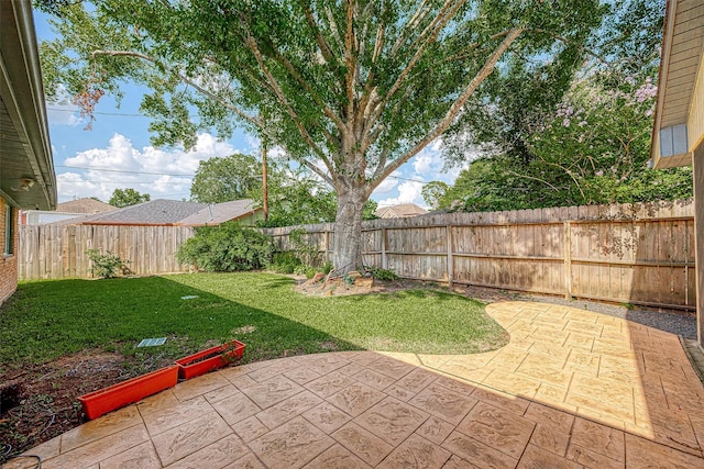 view of yard featuring a patio area