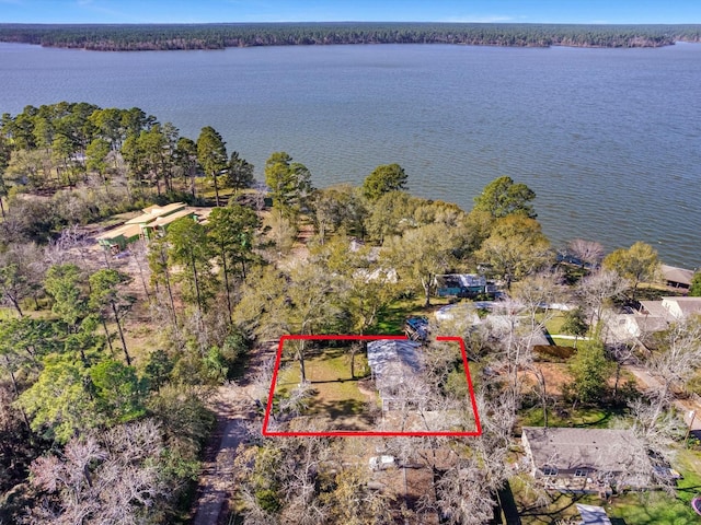 birds eye view of property featuring a water view and a forest view