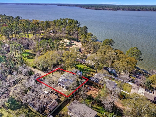 bird's eye view with a water view and a wooded view