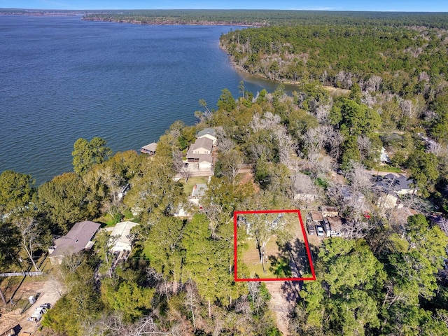 birds eye view of property featuring a water view and a view of trees