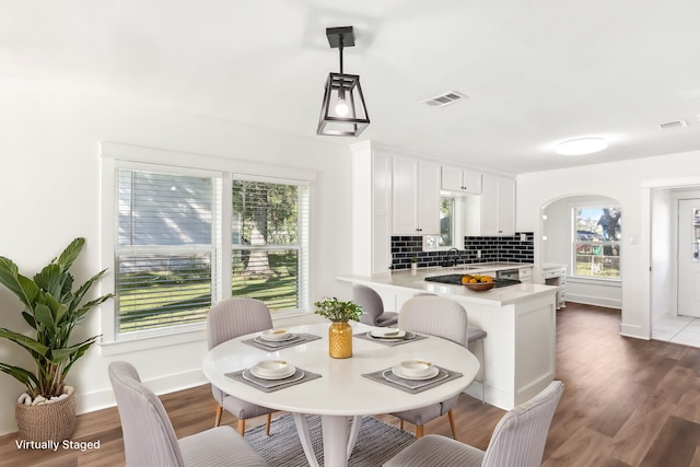 dining room with dark hardwood / wood-style flooring and a wealth of natural light