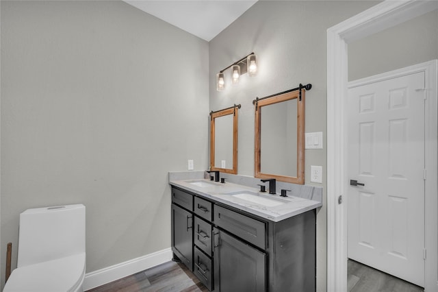 bathroom featuring vanity, wood-type flooring, and toilet