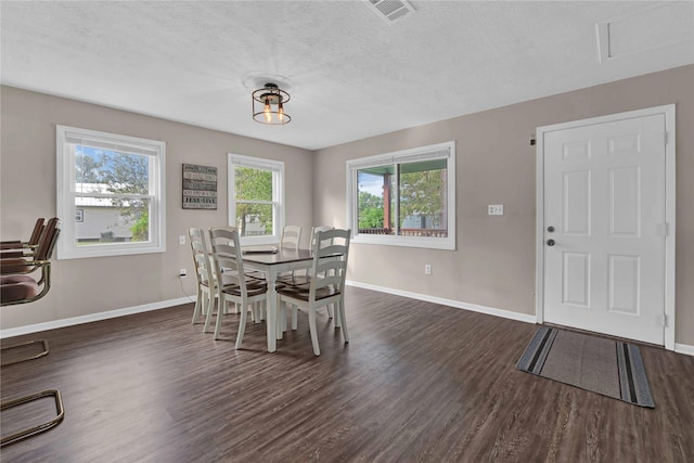 dining room with a wealth of natural light, dark hardwood / wood-style floors, and a textured ceiling