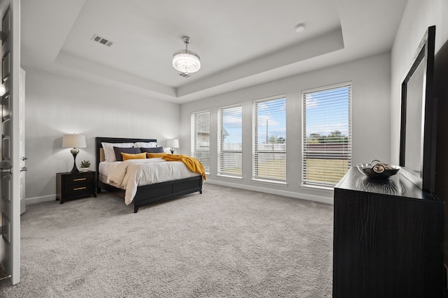 carpeted bedroom featuring a raised ceiling