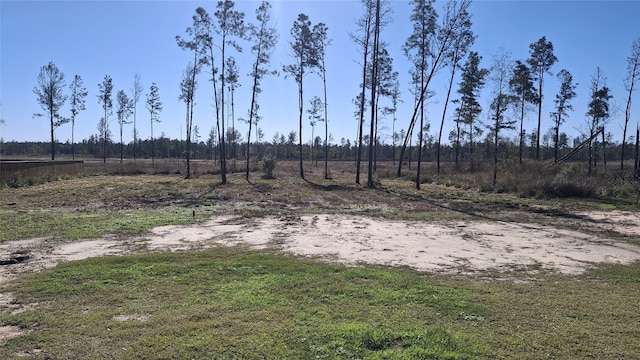 view of yard featuring a rural view