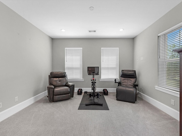 sitting room with light carpet