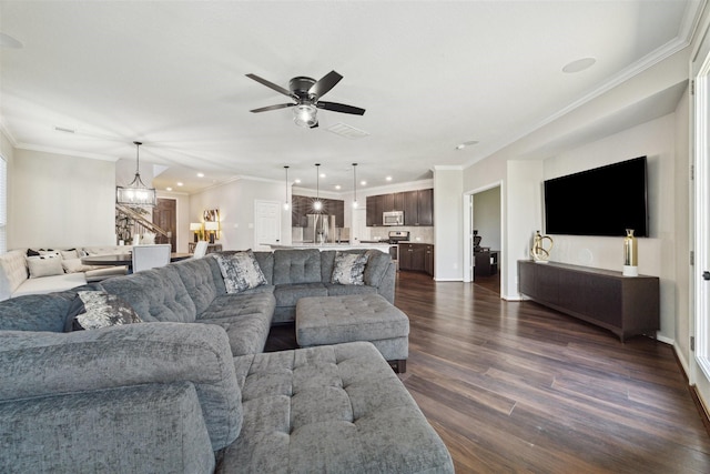 living room featuring ceiling fan with notable chandelier, dark hardwood / wood-style floors, and crown molding