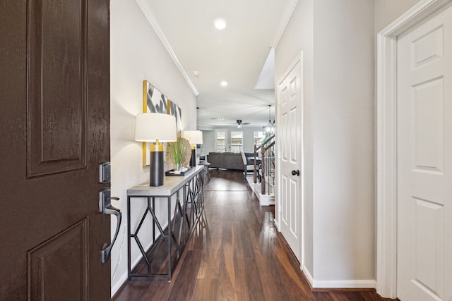 hallway with crown molding and dark hardwood / wood-style flooring