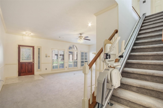 stairs featuring ceiling fan, carpet floors, and ornamental molding