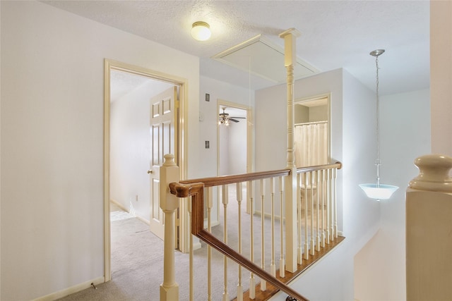 hall featuring light carpet and a textured ceiling