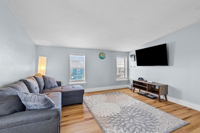 living room with wood-type flooring