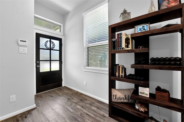 foyer entrance featuring hardwood / wood-style floors