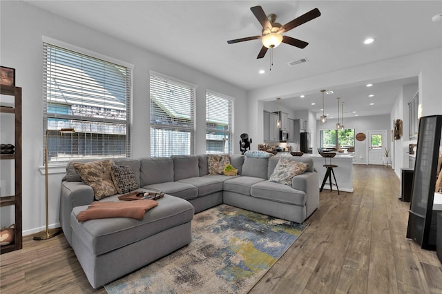 living room with ceiling fan and wood-type flooring