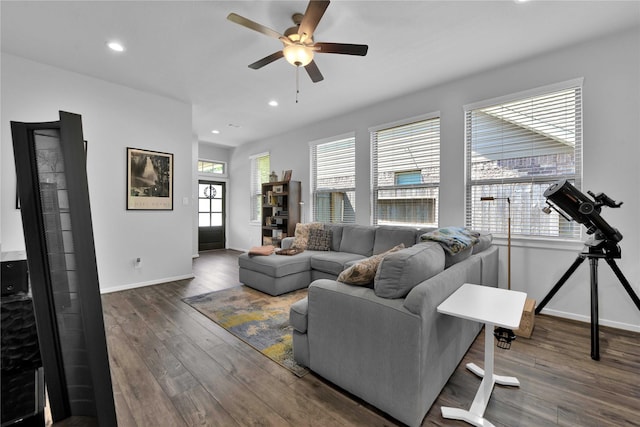 living room featuring ceiling fan and dark hardwood / wood-style floors