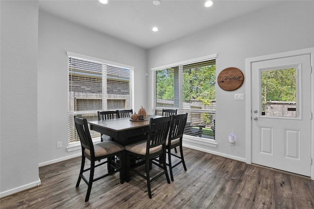 dining room featuring plenty of natural light and dark wood-type flooring