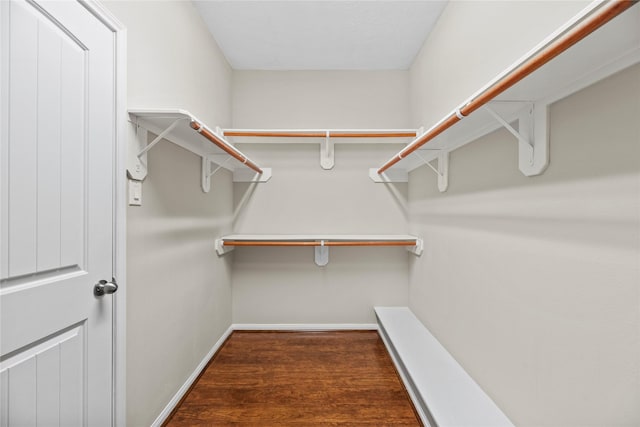 spacious closet featuring dark hardwood / wood-style floors