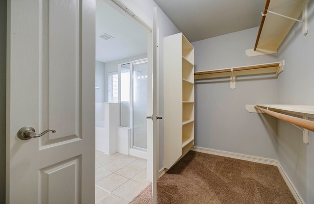 spacious closet with light colored carpet