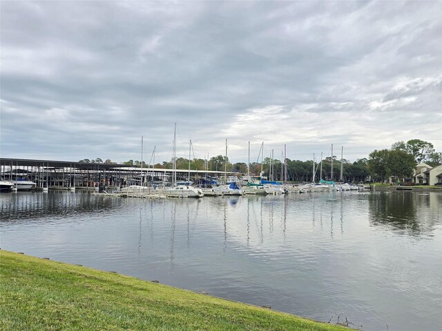 property view of water with a dock