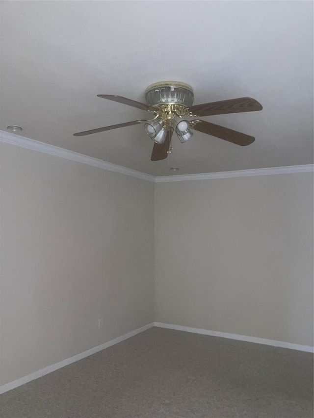 empty room featuring carpet flooring and crown molding