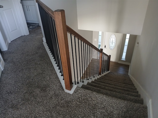 staircase with carpet