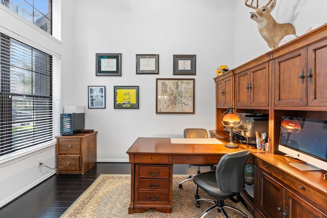 office featuring dark hardwood / wood-style flooring and a wealth of natural light