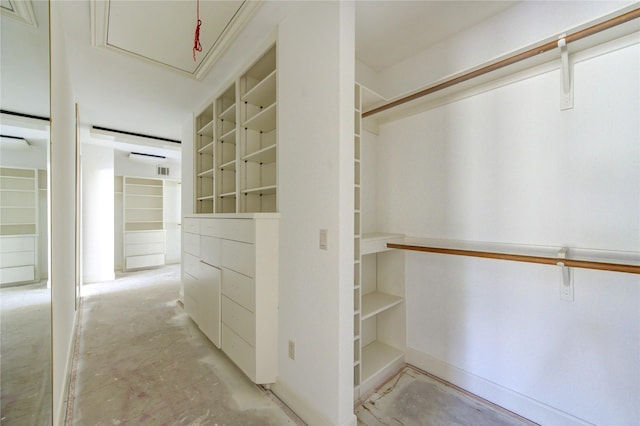 view of spacious closet