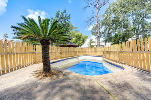 view of pool with a hot tub and a patio area