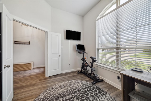 workout area featuring wood-type flooring and vaulted ceiling