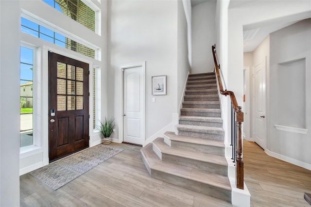 foyer featuring a high ceiling and plenty of natural light