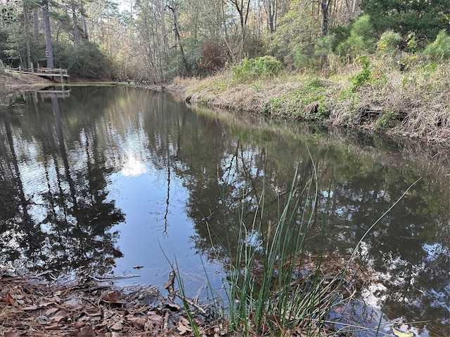 view of water feature