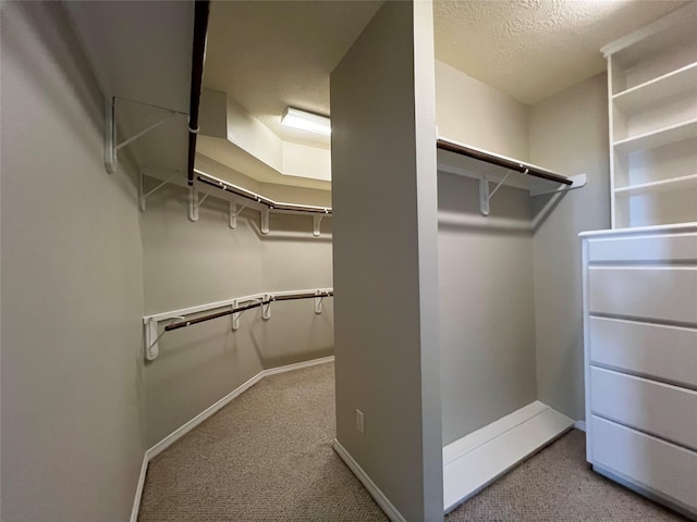 spacious closet featuring carpet flooring