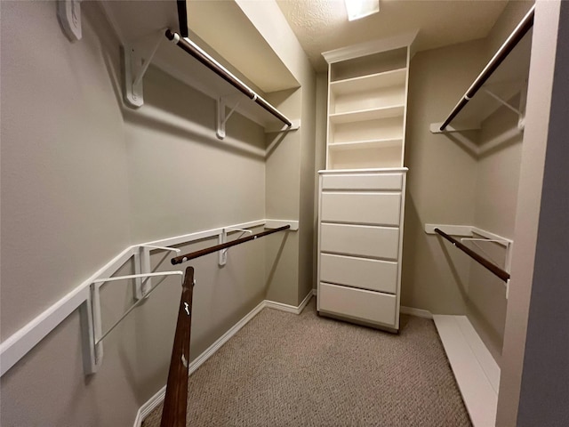 spacious closet with light colored carpet