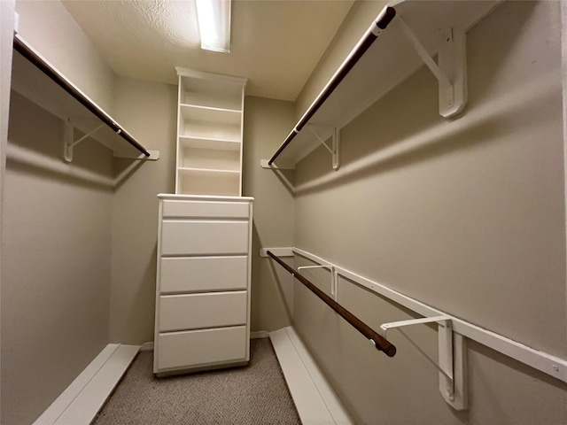 walk in closet with light colored carpet