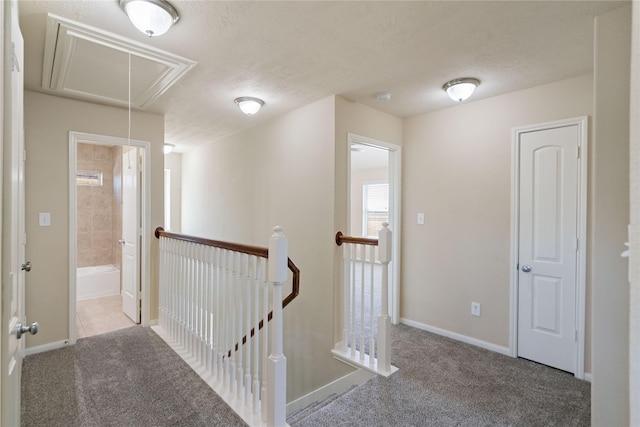 hall with carpet floors and a textured ceiling