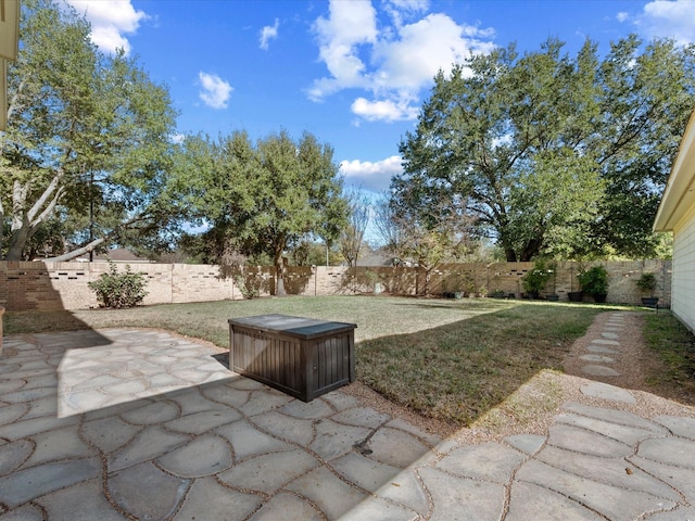 view of yard featuring a patio area