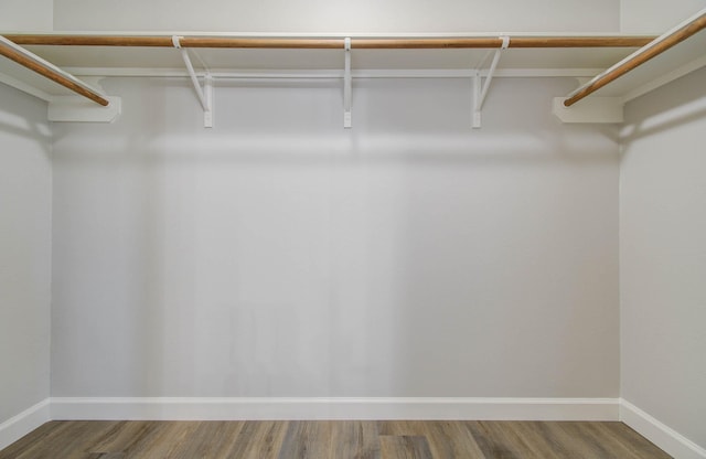 spacious closet featuring hardwood / wood-style flooring