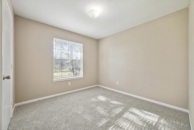 spare room featuring carpet floors