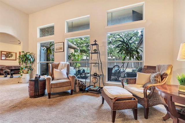 sitting room with carpet floors, a high ceiling, and billiards