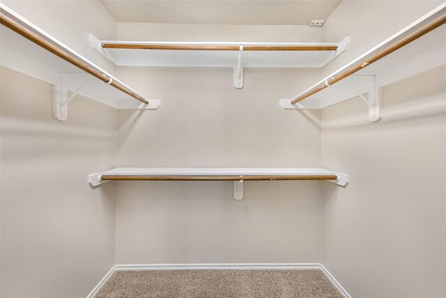 spacious closet featuring carpet