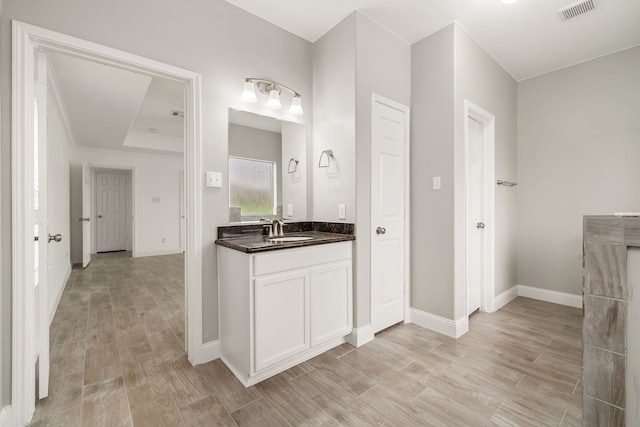 bathroom featuring a raised ceiling, visible vents, vanity, wood finished floors, and baseboards